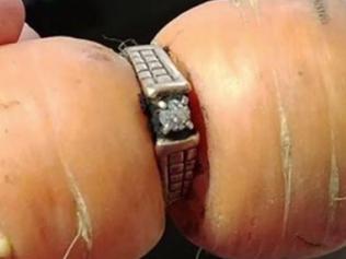 Mary Gram's engagement ring was found on a carrot, 13 years after she lost it while gardening.