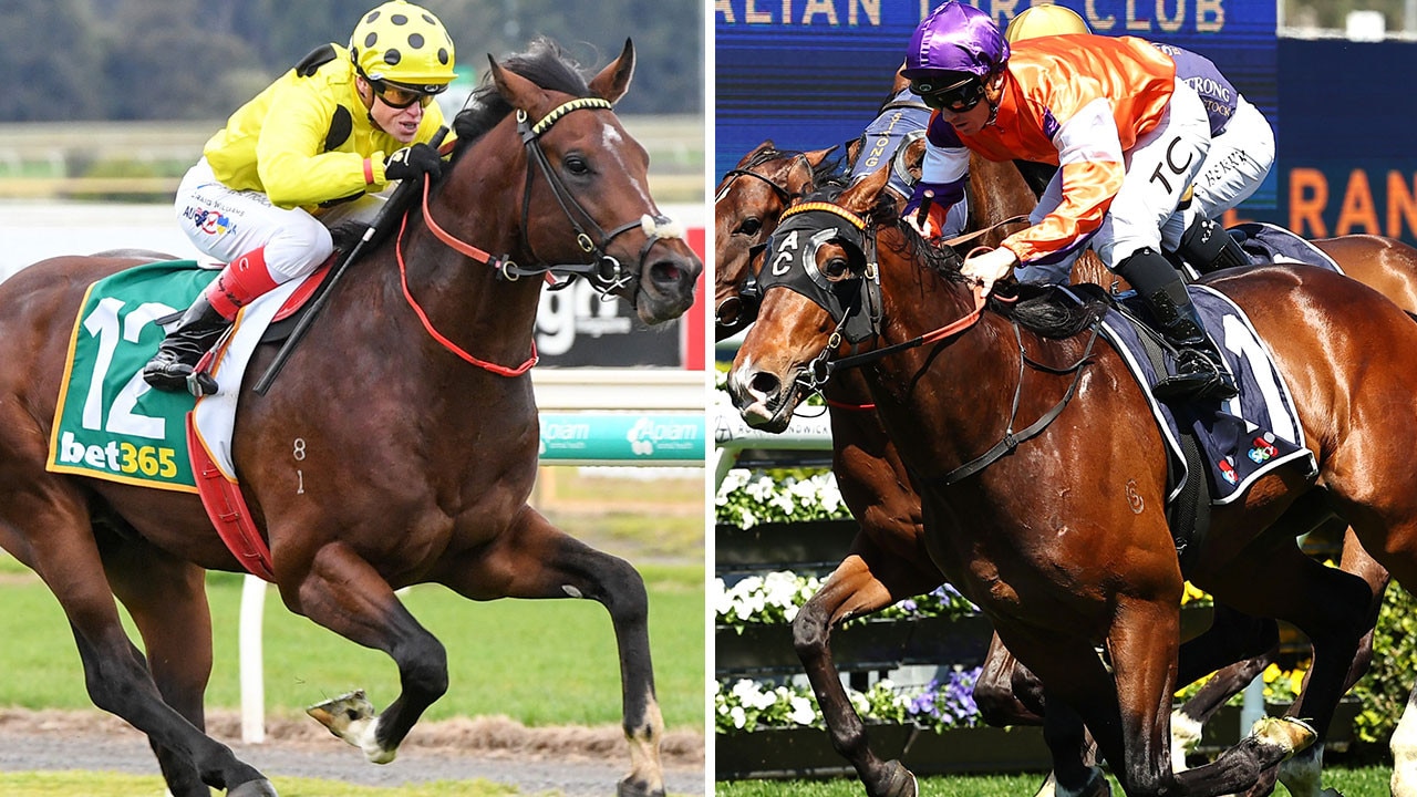 Rosehill Turf Talk: ‘If I owned him, he’d be in the Melbourne Cup’