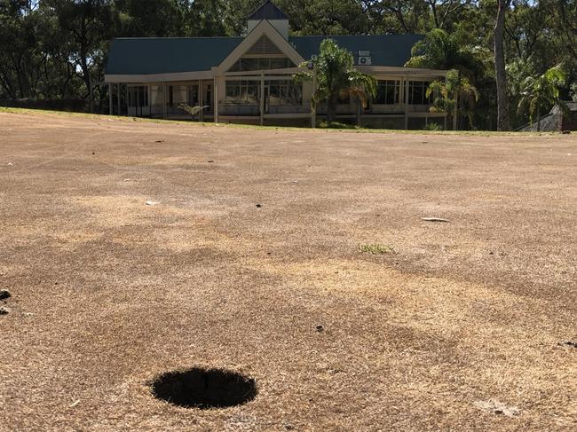 Dead greens on the Belair Golf Course