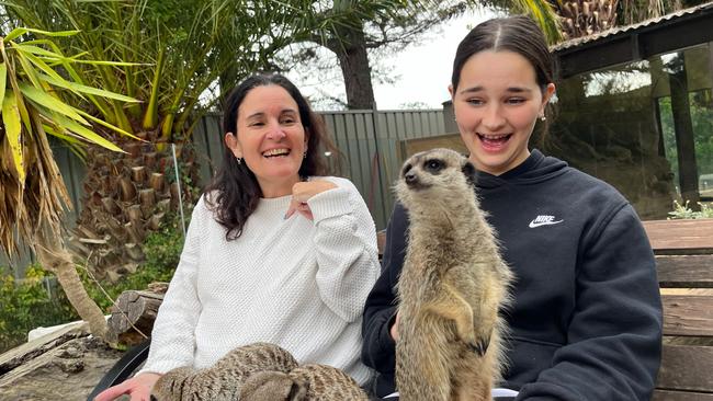 Feeding the meerkats at Jamala Wildlife Lodge.