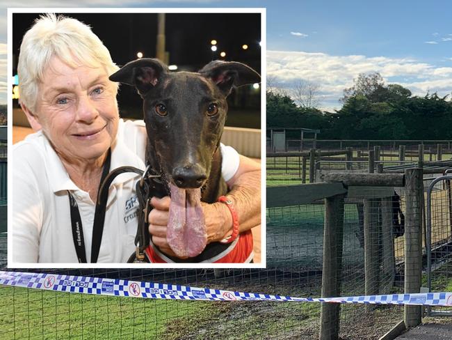 death of trainer Karen leek being investigated by homicide squad
