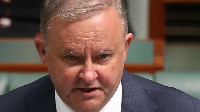 Anthony Albanese says Labor will win South Australia and Batman at the polls tomorrow. Picture: Kym Smith.