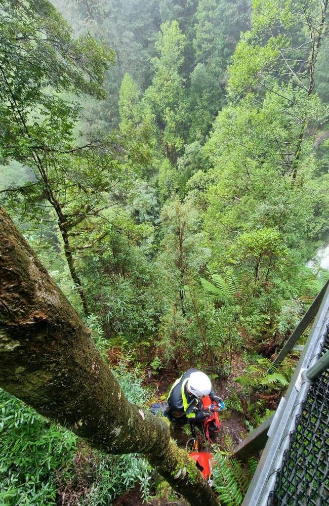 The search for missing Belgian backpacker Celine Creme, 31, lost since at least June 20 and likely earlier, continued at Philosopher Falls, Waratah, on June 30, 2023. Picture: DPFEM