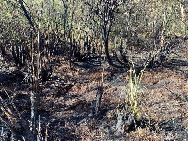 The fire allegedly started by Jarrod Bradley James burned an area of about 150sq m off Woy Woy Rd at Kariong. Picture: supplied.