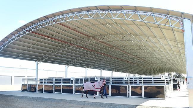 Giddy up: There will be pony rides, horsemanship demonstrations and trick training, led by staff from Echuca’s HorseHand, at Elmore’s Equestrian Park.