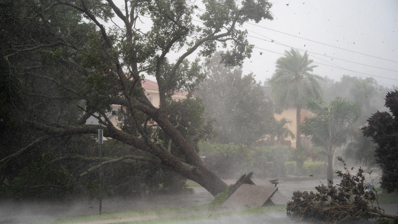 A tree is uprooted by strong winds as Hurricane Ian smashes Florida. Picture: Getty Images