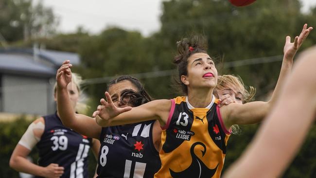 Taylah Gatt playing for Dandenong Stingrays. Picture: Valeriu Campan