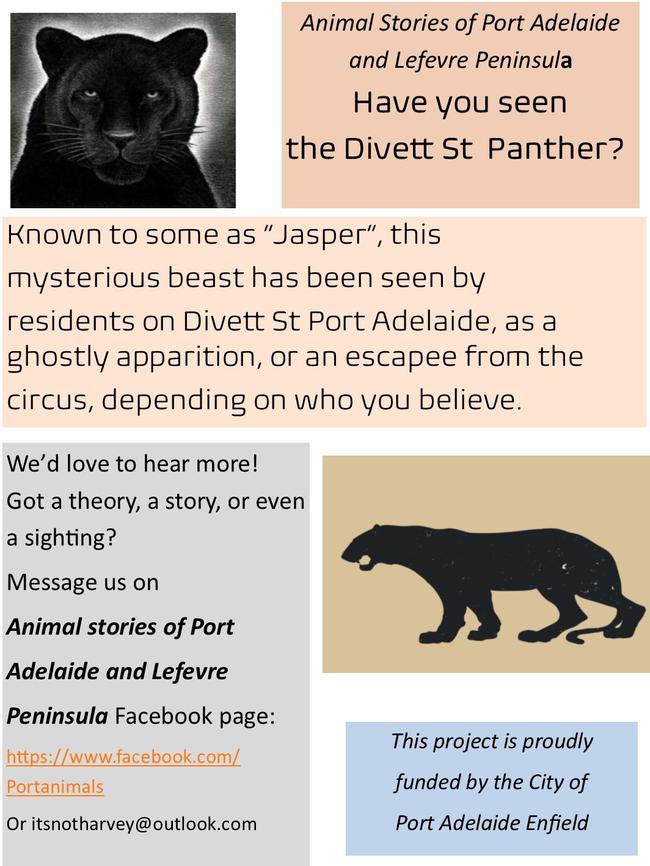 A copy of the poster stuck around the Port, calling for information on Jasper the panther. Picture: Supplied