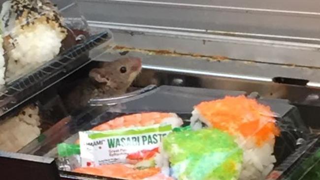 A mouse near sushi at Dozo Japanese Food Express at Westfield Marion. Source: Supplied