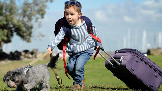 Anton Korlaet, 3, gets ready to take Boo to the upcoming camping expo. Picture: Andrew Henshaw