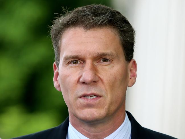 Senator Cory Bernardi speaking at Senate doors at Parliament House in Canberra.