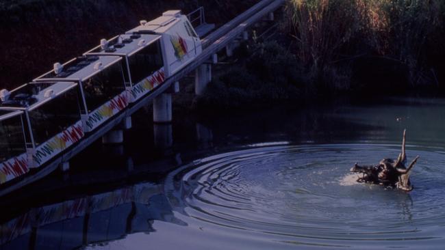 Ladies and gentlemen if you look to your right you just may see a bunyip.