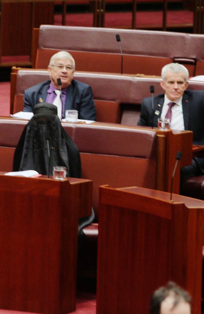 Senator Hanson faced attacks from Senator George Brandis. Picture: Gary Ramage