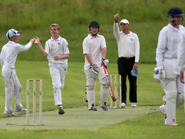 Conner Colbran celebrating a wicket during the under 15 Div 2 Junior cricket grand final between Cobbitty Narellan (batting) v Collegians at Stromferry Oval, St Andrews. Picture: Jonathan Ng