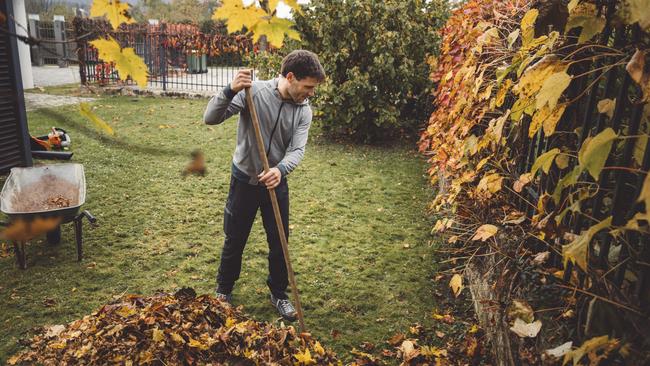 It’s important to keep your garden tidy and free of dry leaves during bushfire season.