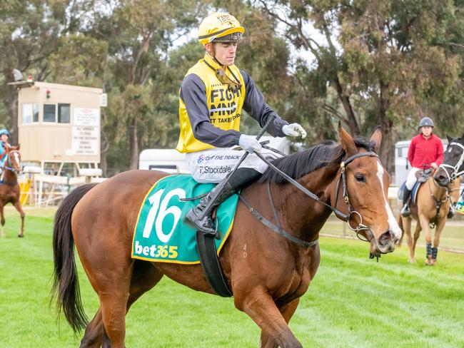 The Peter Gelagotis stable runners will carry the FightMND silks to raise awareness for the disease during the month of June. Picture: Racing Photos via Getty Images.