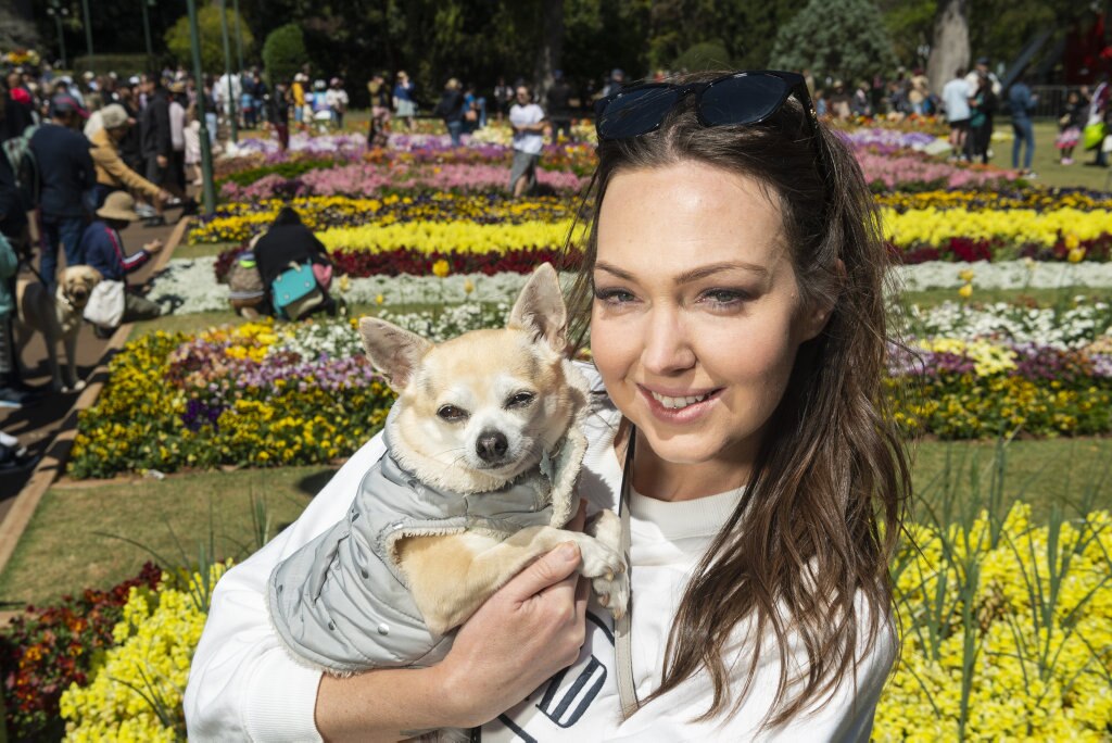 Emily Curtis gives her chihuahua Peanut a cuddle in Queens Park during Carnival of Flowers 2020, Saturday, September 26, 2020. Picture: Kevin Farmer