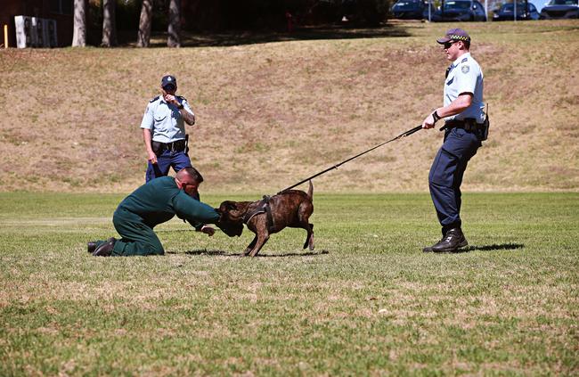 He takes the offender to the ground and allows officers to disarm him. Picture: Adam Yip