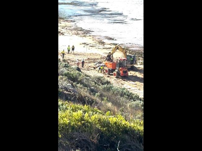 Rotting whale carcass removed from popular beach