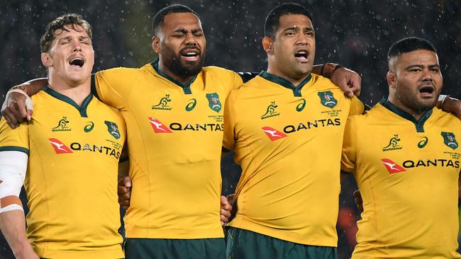 The Wallabies are preparing to take on New Zealand.