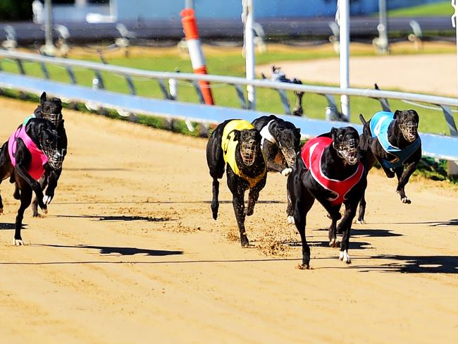 Greyhounds at Townsville Showgrounds; Race 5 - CLOVER LEE (1) takes the win over HEART'S A MESS (7) in Second and AGGI ROSE (8) in third. Picture: Alix Sweeney