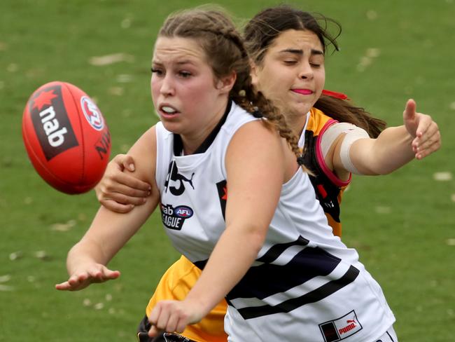 The Northern Knights won’t back down from the challenge of facing the reigning premiers first up in the NAB League Girls season. Picture: Stuart Milligan