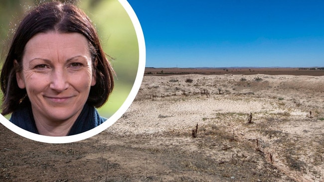 ‘Send River Murray water to our drought-stricken farmers’, says Nicola Centofanti.