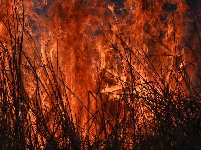 A generic photo of a grassfire outside Darwin, fire , grass bush climate changePicture: Glenn Campbell