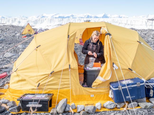 Monash University biologist Dr Laura Phillips studied Springtail bugs in Antarctica as part of an Australian Research Council grant. Photo  Richard Jones/Monash University.