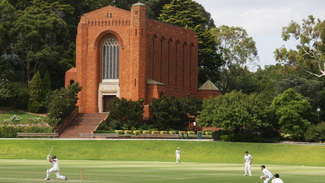 Cricket at Scotch College, Hawthorn. Picture: Stuart Milligan