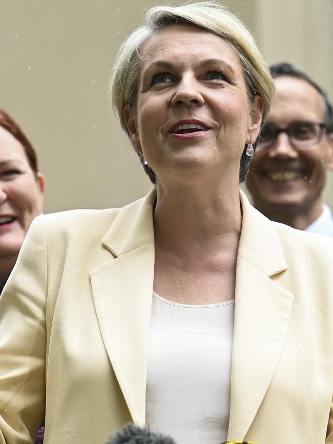 Tanya Plibersek’s bill was more than $326,000. Picture: NCA NewsWire / Martin Ollman