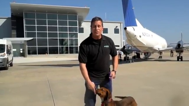 Dogs in Need of Homes Flown to California as Hurricane Delta Bears Down on Louisiana