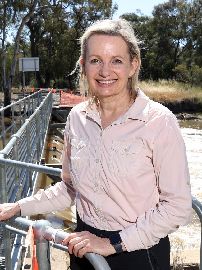 Environment Minister Sussan Ley is awaiting endorsement in Farrer. Picture: Richard Dobbins