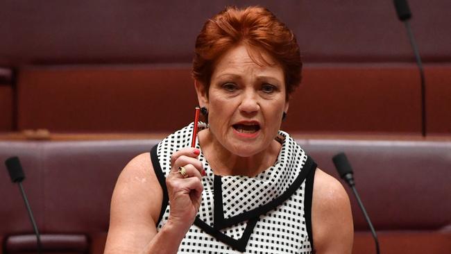 One Nation leader Senator Pauline Hanson. Picture: AAP/Mick Tsikas