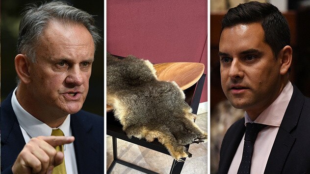 Mark Latham (left) and Alex Greenwich (right) are embroiled in the mystery of the missing possum pelt.