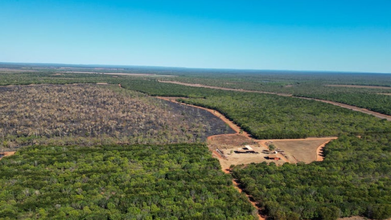 New era for NT sandalwood farms as local horticulturist buys up