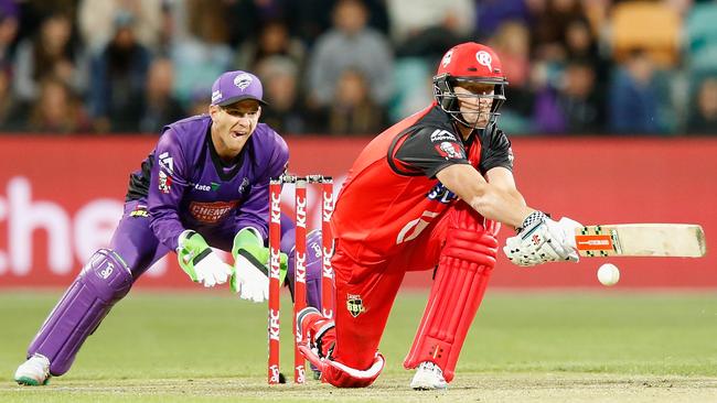 Cameron White has an important role to play for the Melbourne Renegades!