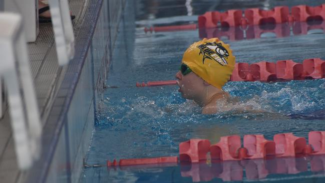 Beef City Swim Meet at 2nd World War Memorial Aquatic Centre, Rockhampton, on October 26, 2024. Photo: Pam McKay