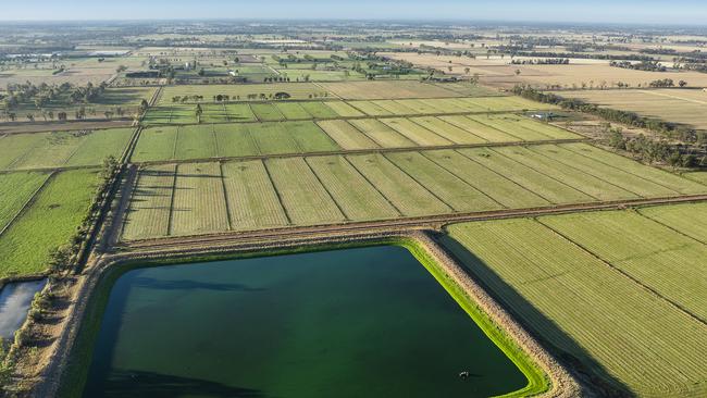 Goulburn Valley Creamery is selling its 907ha Holstein Milk Group Portfolio of farms.