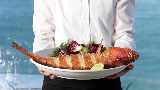 Coral Trout prepared by Chef Jason Roberts. In 2022-23, 766 tonnes of coral trout were harvested commercially in Queensland and 349 tonne other species quota and 95 tonnes of redthroat emperor quota. Picture: John Fotiadis