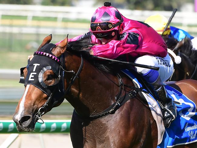 Ruuca holds out Garibaldi to win at Doomben. Picture: Trackside Photography