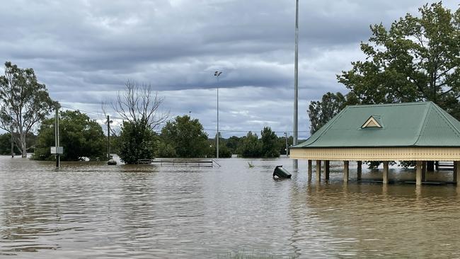 Flooding at Oswald Oval at the end of Argyle Street, Camden. Picture: Annie Lewis NSW Floods