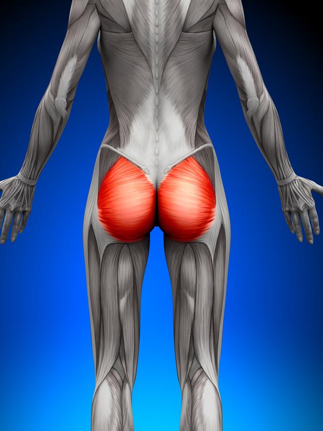 Healthy glutes aid strength and posture.