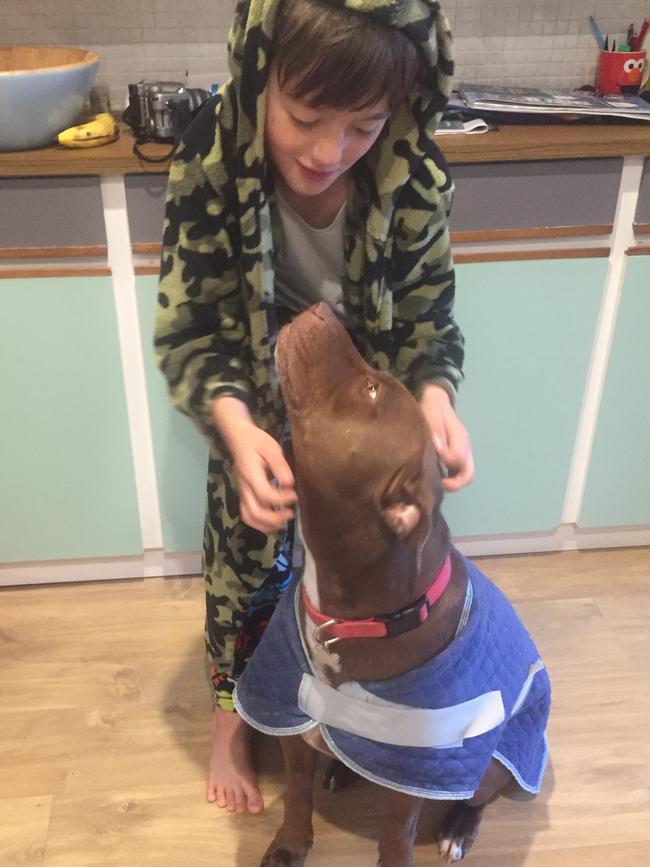 Daniel’s son helps him pet sit at home. Picture: Supplied