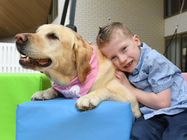 Very Special Kids is opening of their new hospice and their annual giving day. Elliott Mitchell has an incurable genetic disorder called DiGeorge Syndrome and Tracheobronchomalacia, which causes the wall of his airway to become so weak he needs a tracheostomy (tube in the windpipe) to be able to breathe. Elliott and therapy dog Jaffa. Picture: Josie Hayden