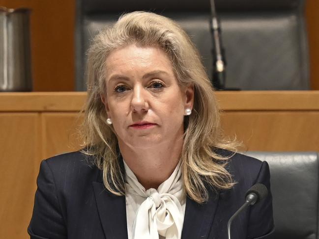 CANBERRA, AUSTRALIA, NewsWire Photos. SEPTEMBER 28, 2023: Senator Bridget McKenzie during an inquiry into Australia's bilateral airservices arrangements at Parliament House in Canberra. Picture: NCA NewsWire / Martin Ollman