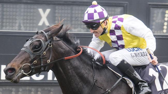 Grant Buckley looks tough to beat in the Jockey’s Challenge with a strong book of rides.