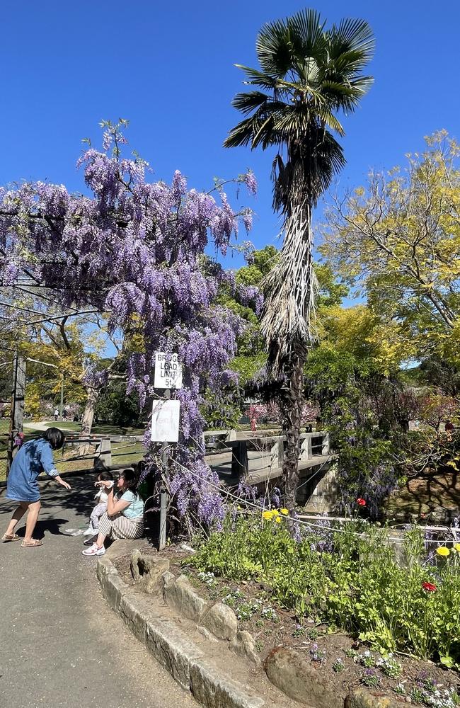 Just one of the hanging displays at the breathtaking gardens.