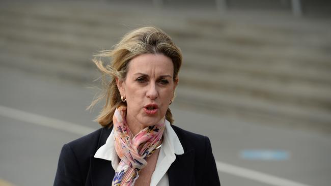 Opposition health spokeswoman Georgie Crozier said the system had been grossly underfunded. Picture: NCA NewsWire / Andrew Henshaw