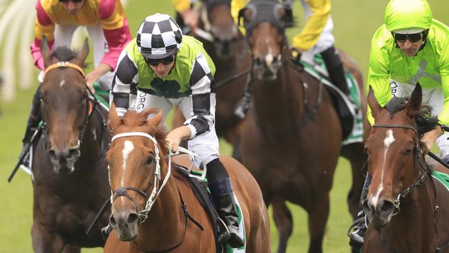 James McDonald gets home on Bigboyroy, one of his four winners at Kembla Grange.